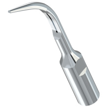 WOODPECKER_INSERT GD5