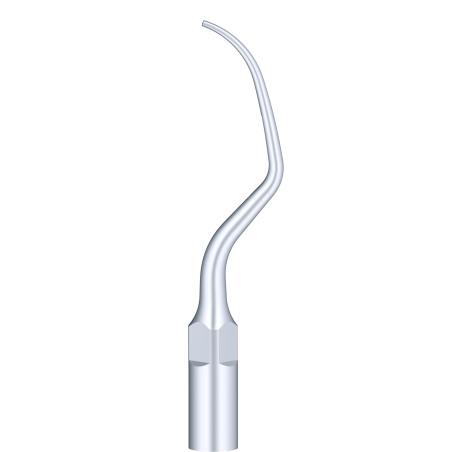 WOODPECKER_INSERT PD20