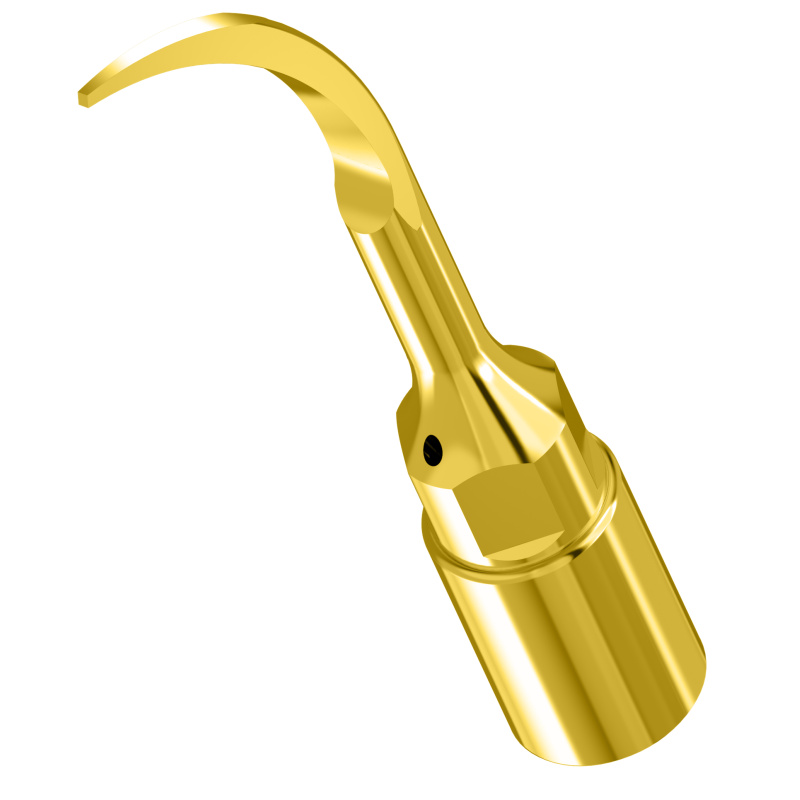 WOODPECKER_INSERT UP2