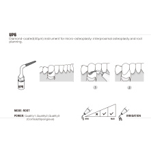 Insert Woodpecker & DTE