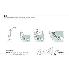 Insert Woodpecker & DTE