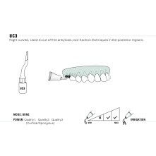 Insert WOODPECKER DTE - UC3