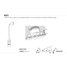 Insert Woodpecker & DTE