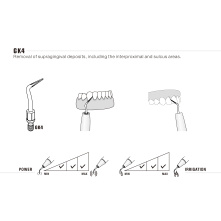 Insert Woodpecker & DTE