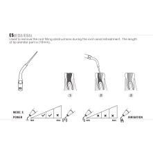 Insert WOODPECKER DTE - ED5