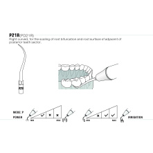 Insert Woodpecker & DTE