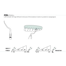 Insert WOODPECKER DTE - PD20L