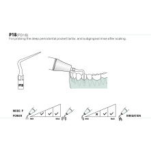 Insert Woodpecker & DTE