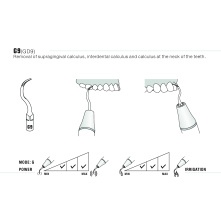 Insert Woodpecker & DTE GD9