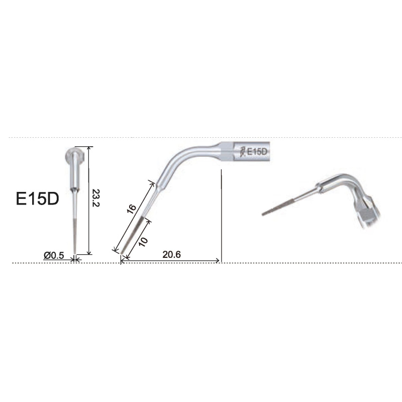 Insert Woodpecker & DTE