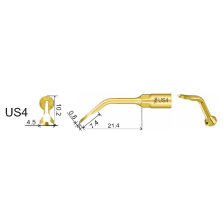 DTE WOODPECKER - Tip US4