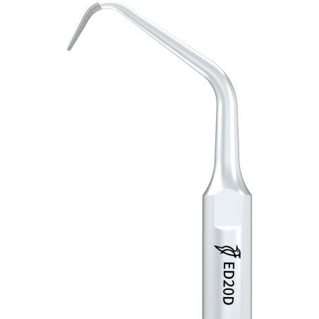 Insert WOODPECKER DTE - ED20D