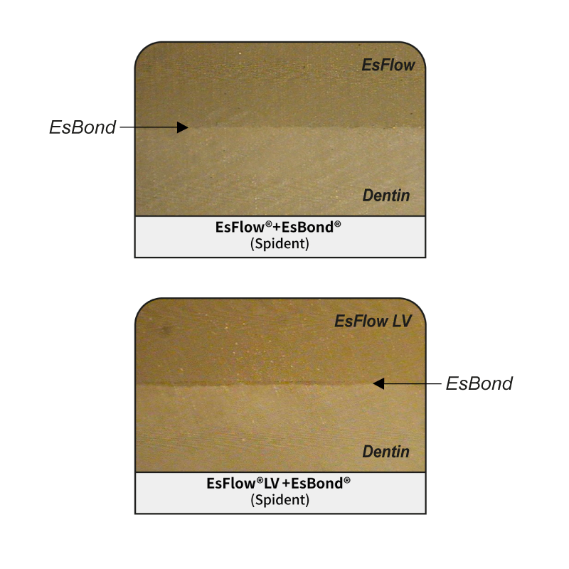 Données de comparaison d'adhérence OverCEM SA.